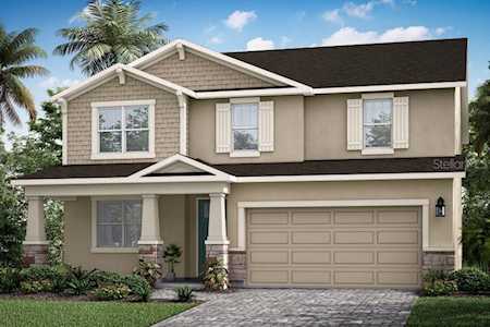19696 Blue Pond Dr Lutz, FL 33558