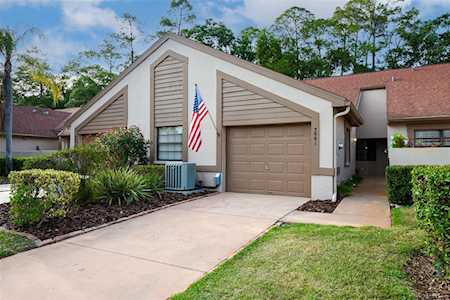 3981 Mermoor Dr Palm Harbor, FL 34685