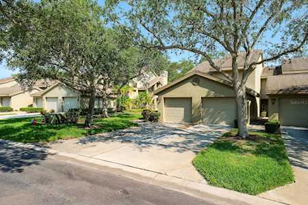 3001 Landmark Blvd #105 Palm Harbor, FL 34684