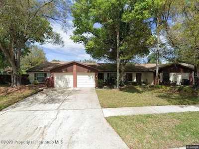 2026 Dover Ct Oldsmar, FL 34677