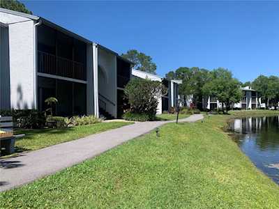 1281 Pine Ridge CIRCLE E #F-1 Tarpon Springs, FL 34688