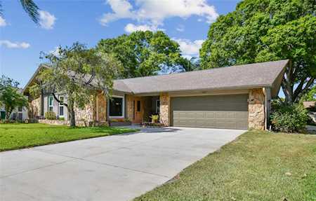 3023 Chattan Ct Palm Harbor, FL 34684