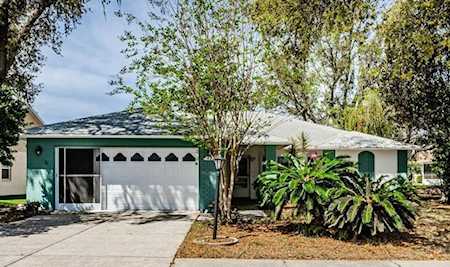 4723 Portland Manor Dr New Port Richey, FL 34655
