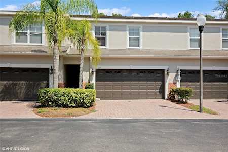 1419 Hillview Ln Tarpon Springs, FL 34689
