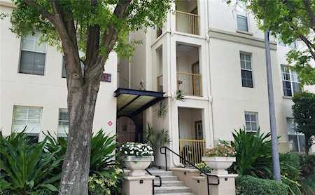 504 S Armenia Ave #1320 Tampa, FL 33609