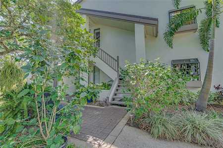 1812 Lake Cypress Dr Safety Harbor, FL 34695