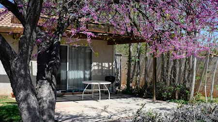 320 N Sunflower #13 St George, UT 84790
