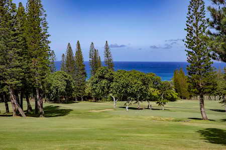 500 Kapalua Dr #27P7-8 Lahaina, HI 96761