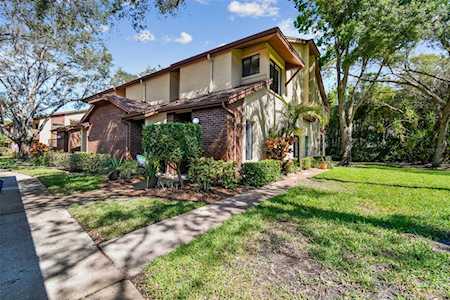623 Fairmont Ave #D Safety Harbor, FL 34695
