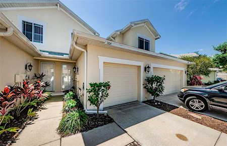 364 Harbor Ridge Dr Palm Harbor, FL 34683