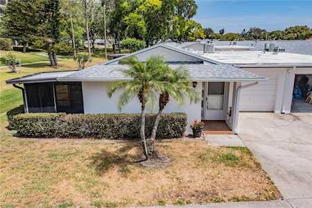 1309 Whitebridge Dr #D Palm Harbor, FL 34684