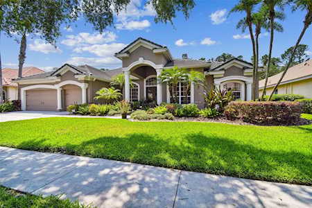 9915 Tree Tops Lake Rd Tampa, FL 33626