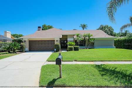 3163 Glenridge Dr Palm Harbor, FL 34685