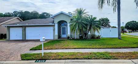 7805 Provance Ln New Port Richey, FL 34654
