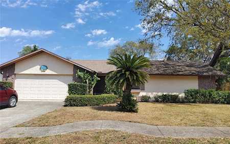 1036 Hamilton Ave Tarpon Springs, FL 34689