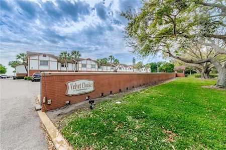 650 Pinellas Point Dr S #207 St. Petersburg, FL 33705