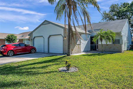 339 Phlox Dr Palm Harbor, FL 34684
