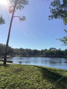 3400 Crystal Ct W #H Palm Harbor, FL 34685