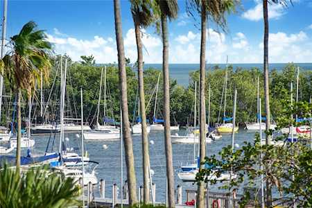 2901 S Bayshore Dr #3BC Miami, FL 33133