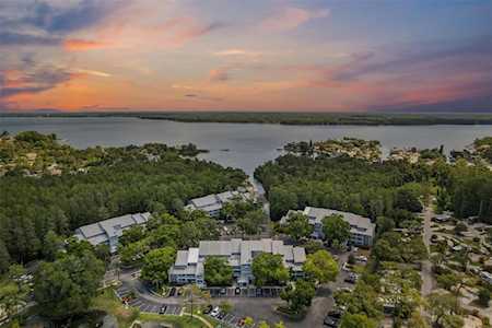 2599 Dolly Bay Dr #302 Palm Harbor, FL 34684