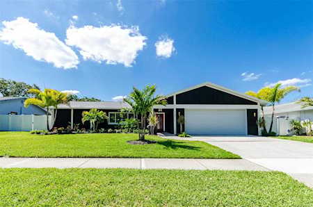 960 Cardigan Ln Palm Harbor, FL 34683