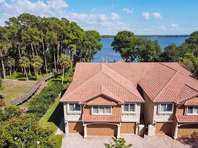 1555 Hillside Landing Dr Tarpon Springs, FL 34688