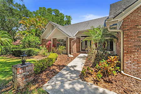 2599 Lakeside Ct Palm Harbor, FL 34684