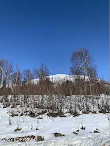10140 N Solid Rock Circle Palmer, AK 99645