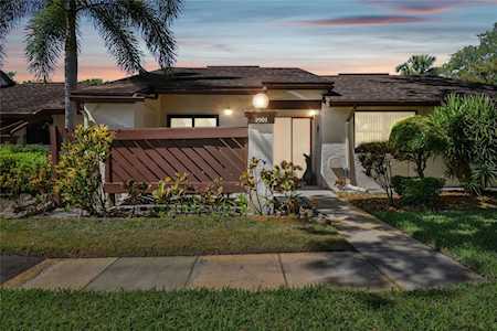 2901 Boxwood Ct Palm Harbor, FL 34684