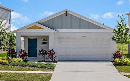 34102 Scarlet Sage Ct Wesley Chapel, FL 33545