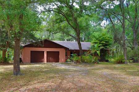 15414 E Lake Burrell Dr Lutz, FL 33549