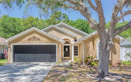 329 Tavernier Dr Oldsmar, FL 34677