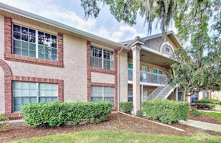 4920 Myrtle Oak Dr #24 New Port Richey, FL 34653