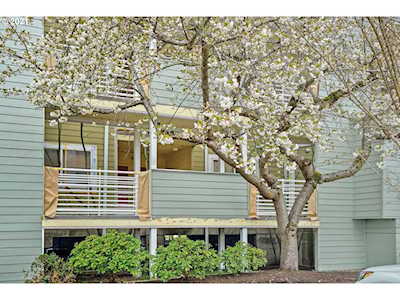 169 N Hayden Bay Dr Portland, OR 97217