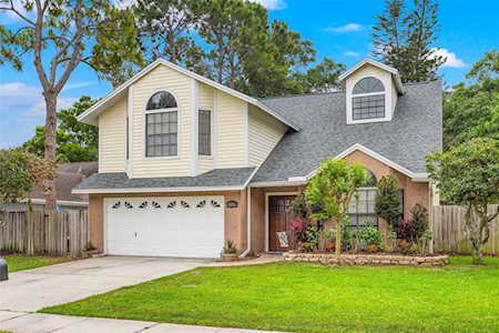 2974 Pine Forest Dr Palm Harbor, FL 34684
