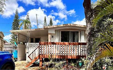 803 St Charles Dr Tarpon Springs, FL 34689