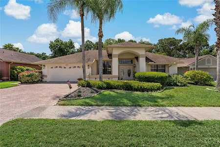 572 Hollowtree PLACE Tarpon Springs, FL 34688