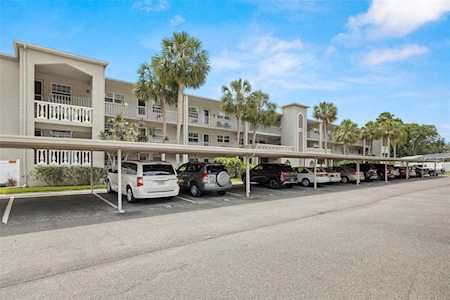 Waterfront Homes In Dunedin Florida