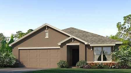 35543 Doveland Dr Zephyrhills, FL 33541