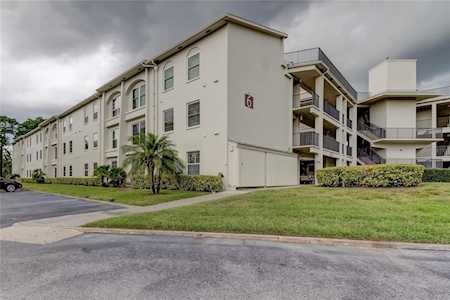 2700 Bayshore Blvd #6105 Dunedin, FL 34698