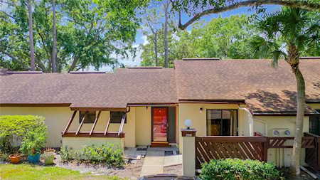 2939 Yucca Ct Palm Harbor, FL 34684
