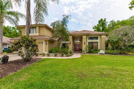 3371 Hickorywood WAY Tarpon Springs, FL 34688