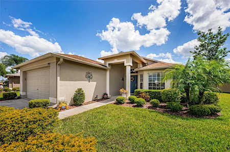 1917 Arbor Knoll LOOP Trinity, FL 34655