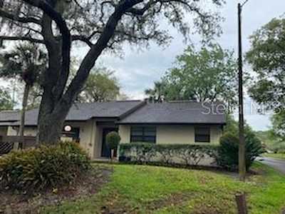 4020 Honeylocust Ct Palm Harbor, FL 34684