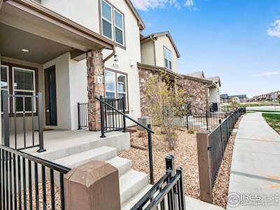 6251 Vernazza Way Windsor, CO 80550