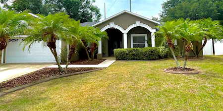 9821 Sunnyoak Dr Riverview, FL 33569