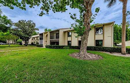 1354 Shady Pine WAY #H1 Tarpon Springs, FL 34688