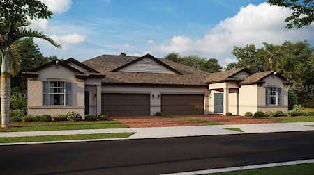 10007 Campanula Ct Land O Lakes, FL 34637