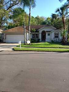 137 Wood Dove Ave Tarpon Springs, FL 34689