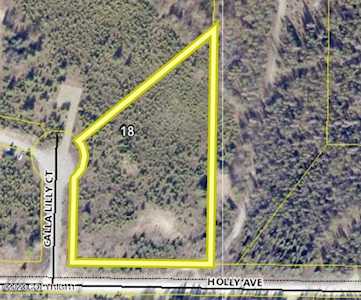 Lot 4 Calla Lilly Ct Sterling, AK 99672